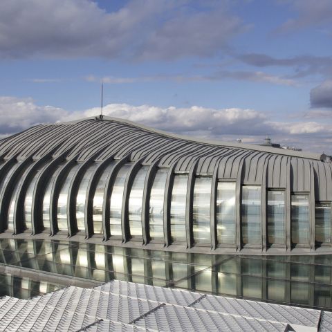 The Whale, Budapest