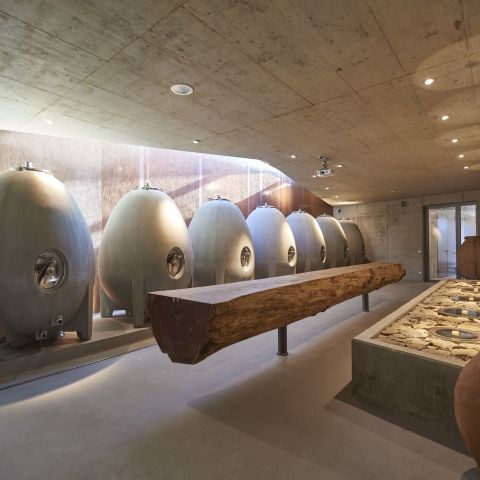 Steinkeller - Weingut am Stein