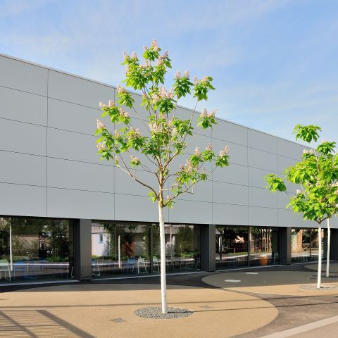 Brüder-Grimm-Schule Ingelheim