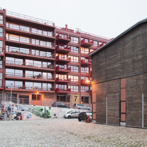 LOK 6