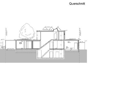 Querschnitt