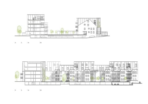 sections