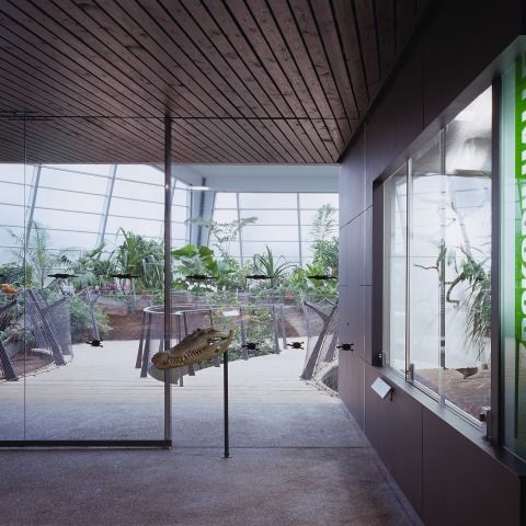 Zoologisch-Botanischen Garten Wilhema