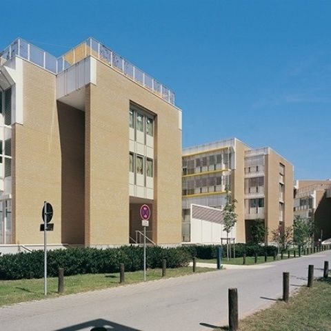 Universitätsklinikum Mannheim