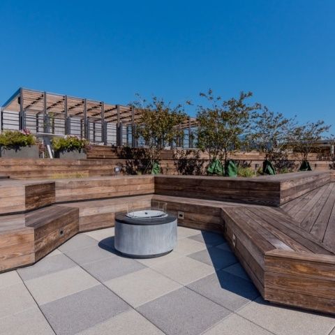 The Apollo Apartments