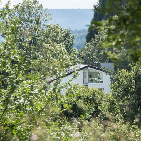 Schöne Aussichten - Dachstuhlsanierung
