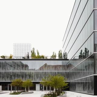 Max-Delbrück-Centrum, Institut für Medizinische Systembiologie (BIMSB), Berlin