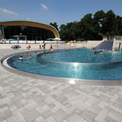 Die Deichwelle in Neuwied/Rh