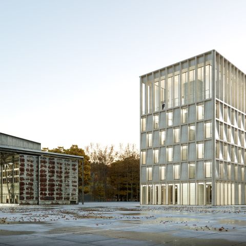 Kompetenzzentrum Wald
