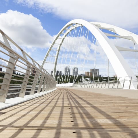Walterdale Bridge