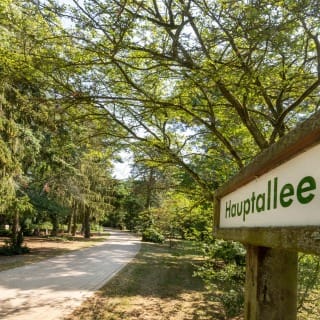 Sanierung der Wege am Spandauer Friedhof 
