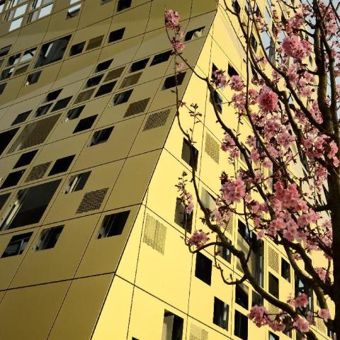 Forum Gold und Silber