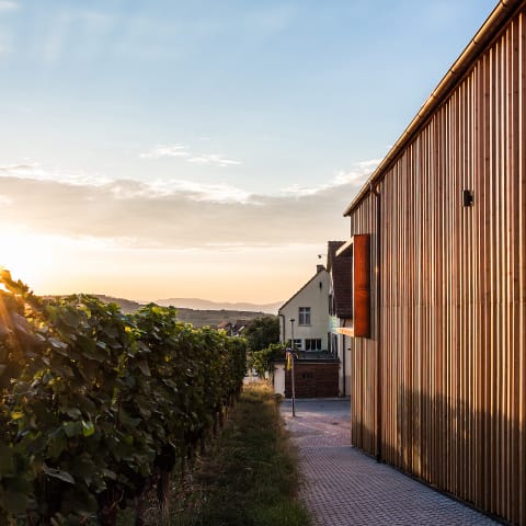 Weingut Rieflin