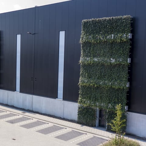 LC Packaging, Niederlande
