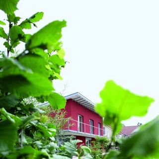 Einfamilienhäuser Muri
