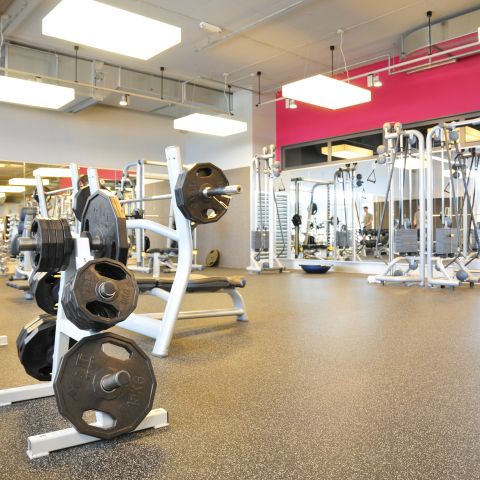 Fitness First Platinum Swim Club München