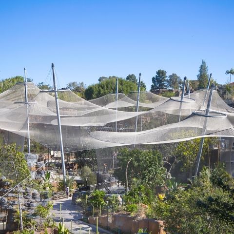 Tierarten im San Diego Zoo