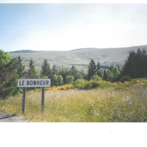 Domizil im Weizenfeld