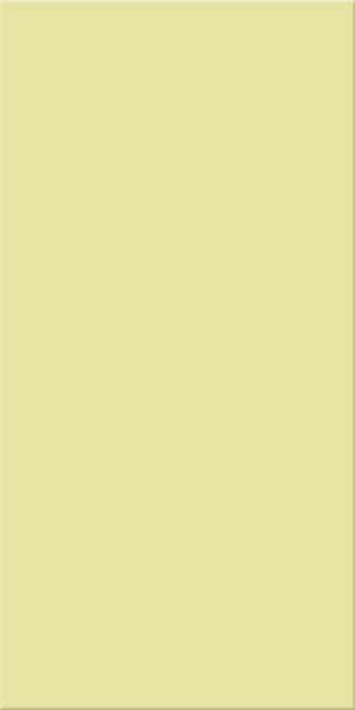 20x40x0,75 Plural gelb hell