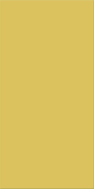 20x40x0,75 Plural gelb mittel