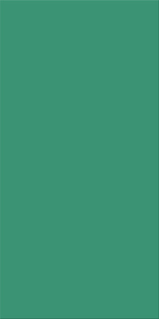 30x60x0,8 Plural türkis aktiv