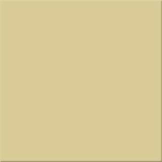 20x20x0,65 Plural sandbeige mittel R10/B unglasiert