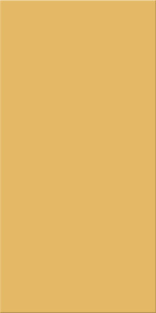20x40x0,75 Plural ocker hell
