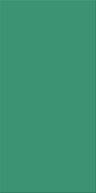 25x50x0,8 Plural türkis aktiv