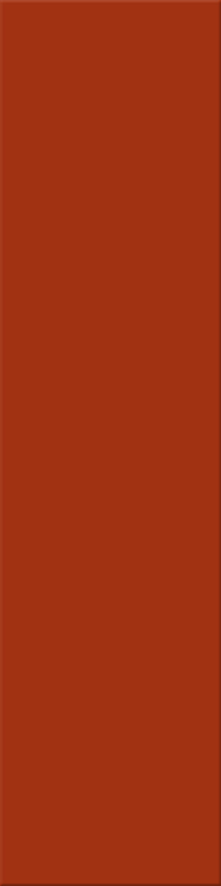 12,5x50x0,8 Plural lachs aktiv