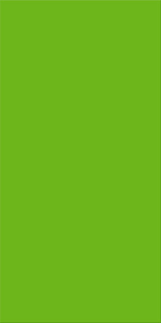 30x60x0,8 Plural grün aktiv