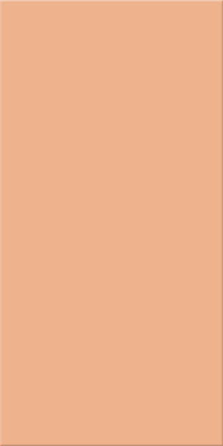 20x40x0,75 Plural lachs hell