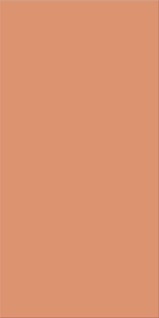 30x60x0,9 Plural lachs mittel