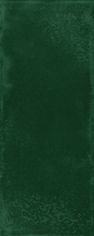 10x25x0,65 Karl forest glänzend