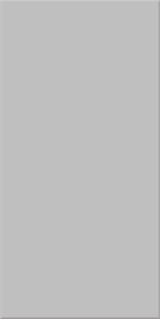 10x20x0,65 Plural neutral 8 lichtgrau