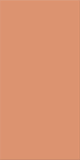 20x40x0,75 Plural lachs mittel