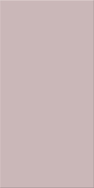20x40x0,75 Plural oxidrot hell