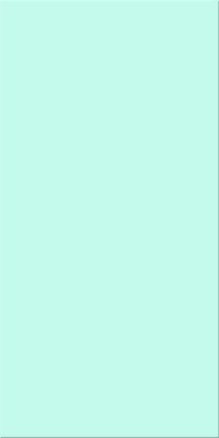 25x50x0,8 Plural türkis hell