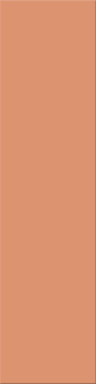 12,5x50x0,8 Plural lachs mittel
