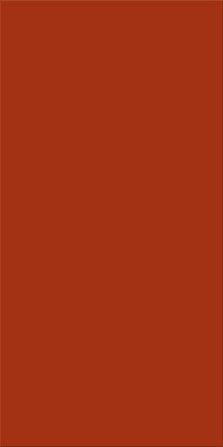 30x60x0,8 Plural lachs aktiv
