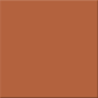 12,5x12,5x0,6 Chroma lachs dunkel