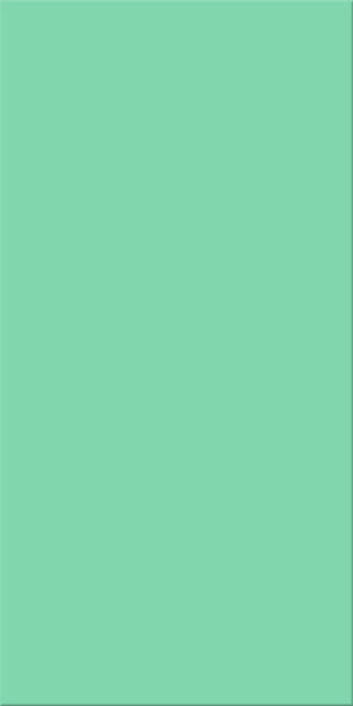 25x50x0,8 Plural türkis mittel