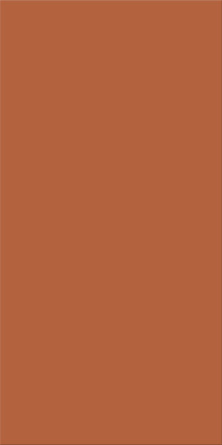 30x60x0,8 Plural lachs dunkel
