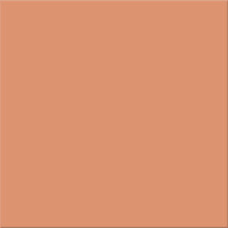 20x20x0,65 Plural lachs mittel R10/B