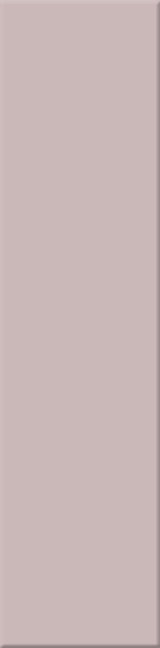 6,2x25x0,6 Chroma oxidrot hell