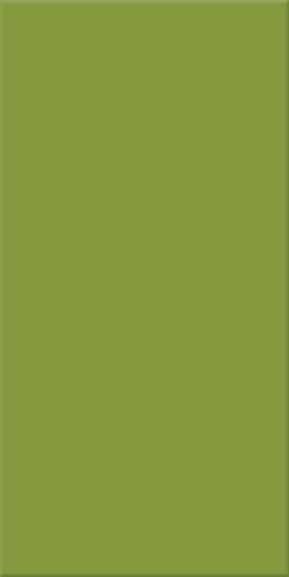 10x20x0,65 Plural grün aktiv