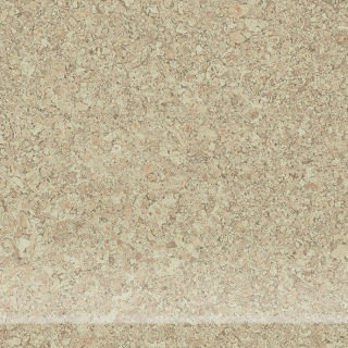10x10x0,65 Area Pro HKS sandbeige R10/B