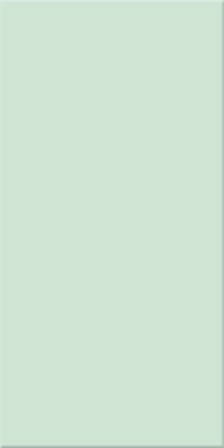 10x20x0,65 Plural grün hell