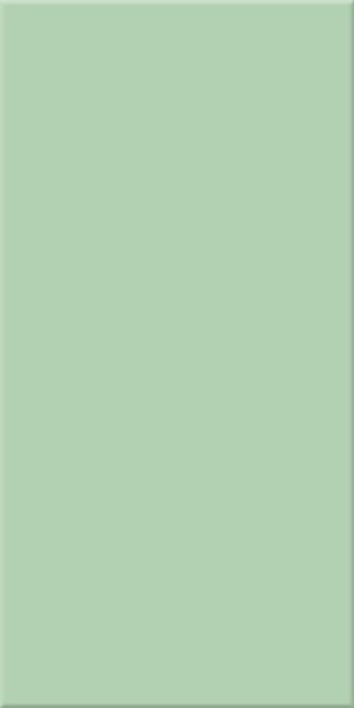 10x20x0,65 Plural grün mittel