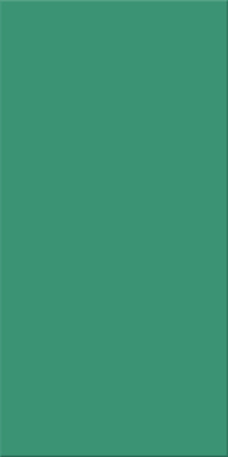 15x30x0,65 Plural türkis aktiv