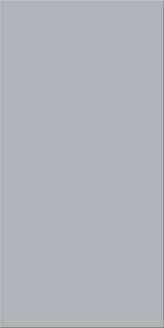 25x50x0,8 Plural neutral 8 Lichtgrau